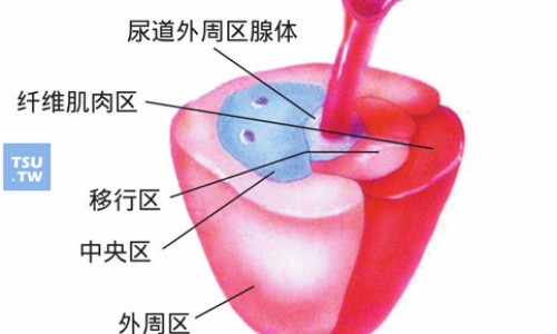 孕妇胃酸怎样可以缓解网解决孕妇胃酸小妙招知识网站,分享解决孕妇胃酸小妙招大全
